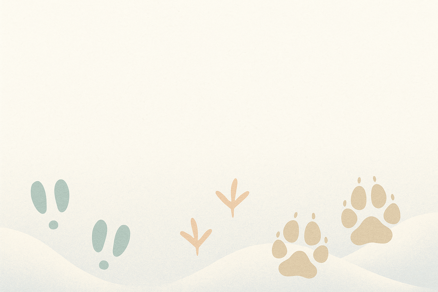 Empreintes hivernales