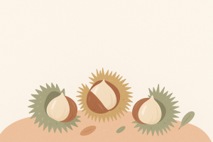 Châtaignes stylisées